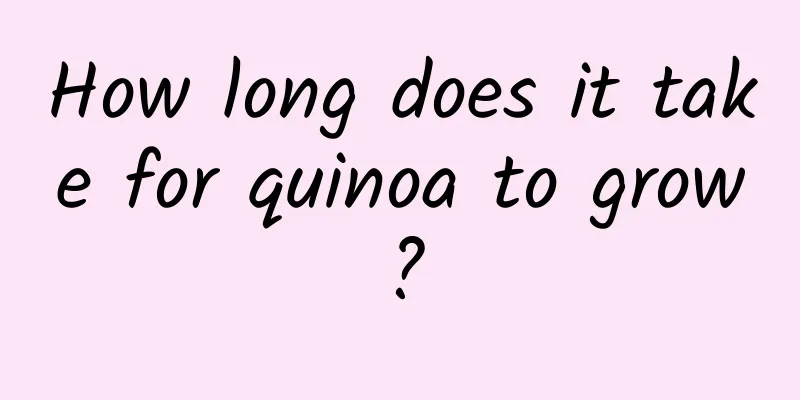 How long does it take for quinoa to grow?