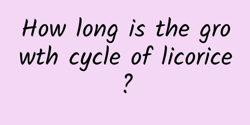 How long is the growth cycle of licorice?