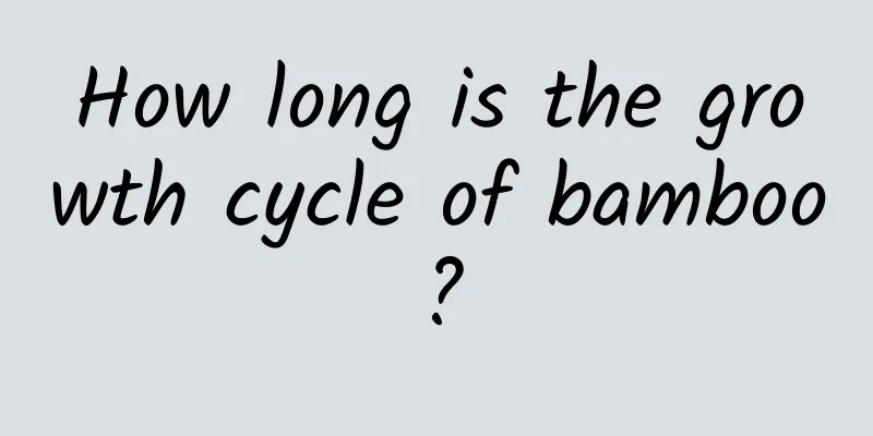 How long is the growth cycle of bamboo?