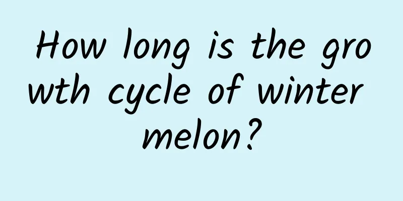 How long is the growth cycle of winter melon?