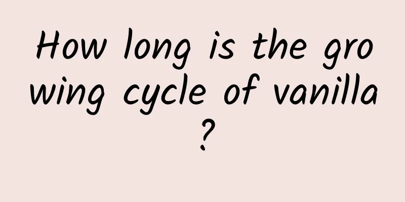 How long is the growing cycle of vanilla?