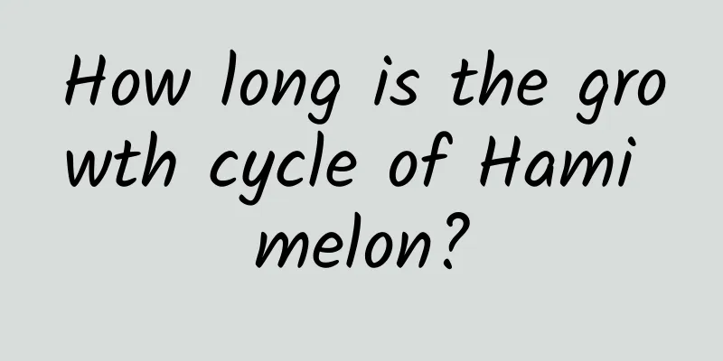 How long is the growth cycle of Hami melon?