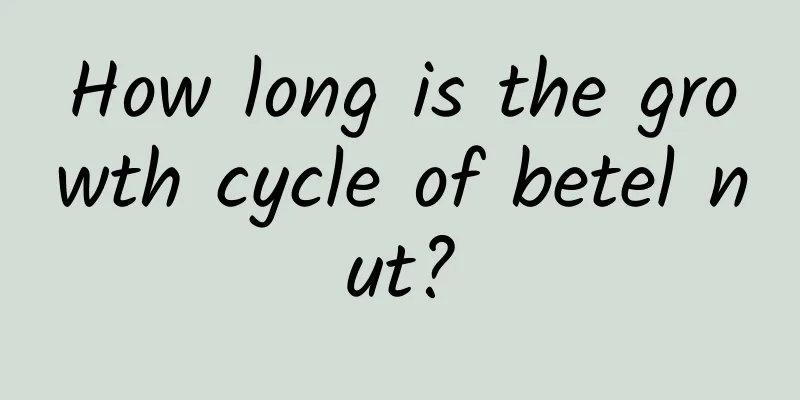 How long is the growth cycle of betel nut?