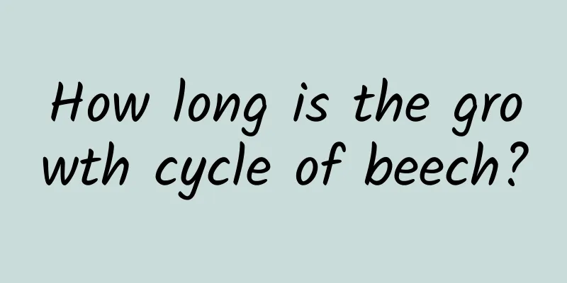 How long is the growth cycle of beech?