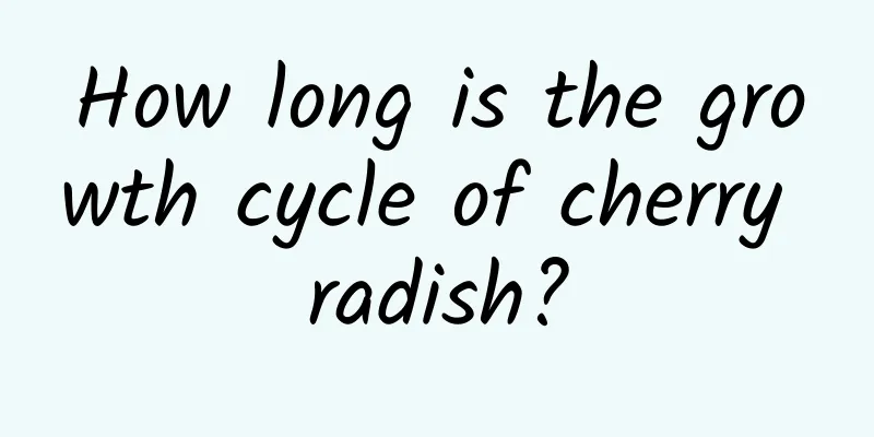 How long is the growth cycle of cherry radish?