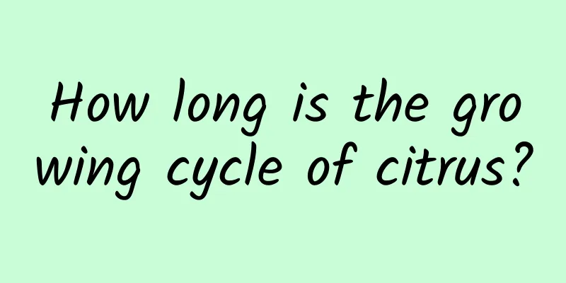 How long is the growing cycle of citrus?