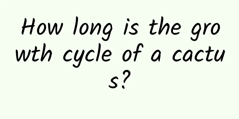 How long is the growth cycle of a cactus?
