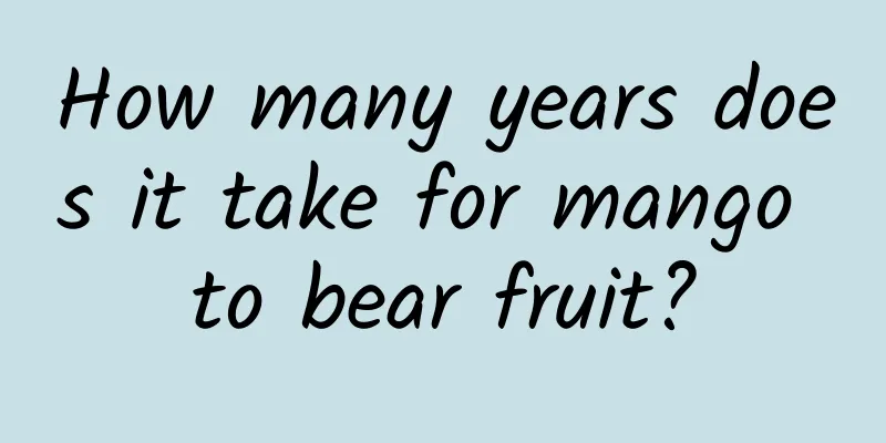How many years does it take for mango to bear fruit?