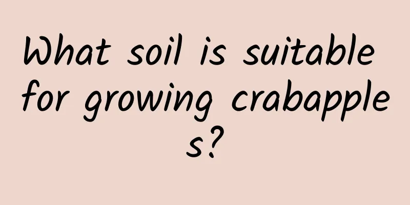 What soil is suitable for growing crabapples?