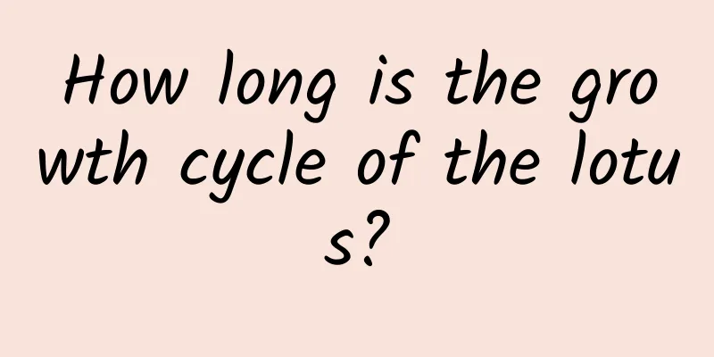 How long is the growth cycle of the lotus?