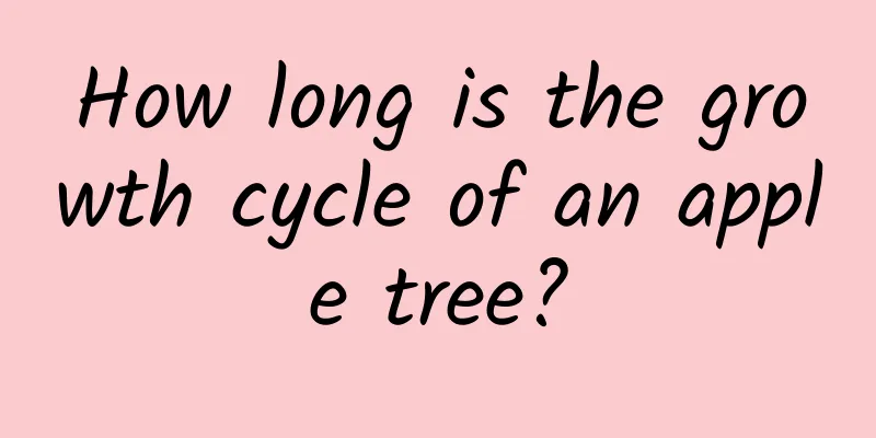 How long is the growth cycle of an apple tree?