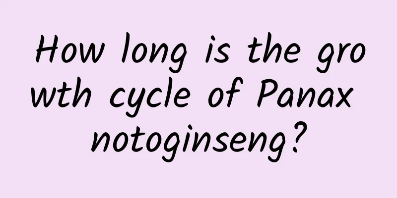How long is the growth cycle of Panax notoginseng?