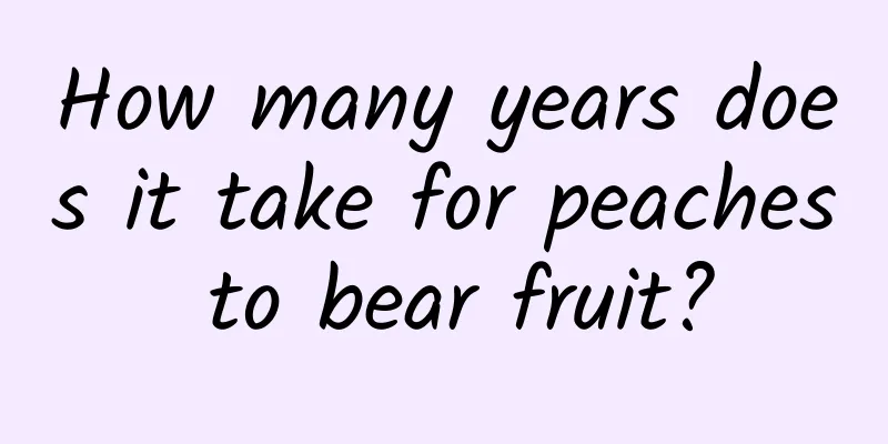 How many years does it take for peaches to bear fruit?
