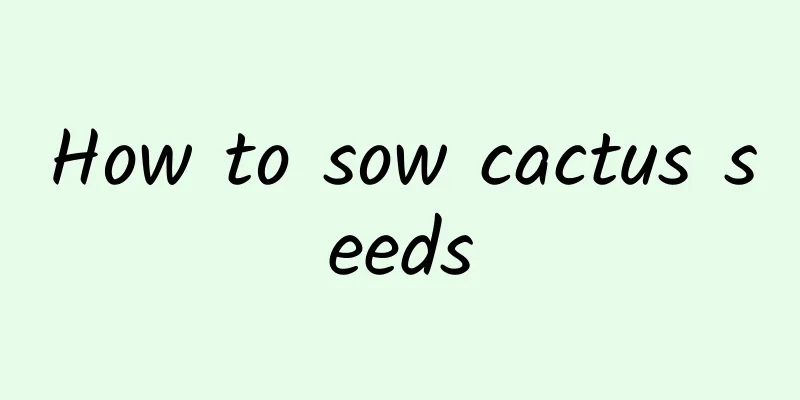 How to sow cactus seeds