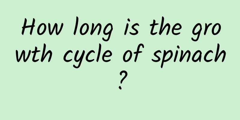 How long is the growth cycle of spinach?