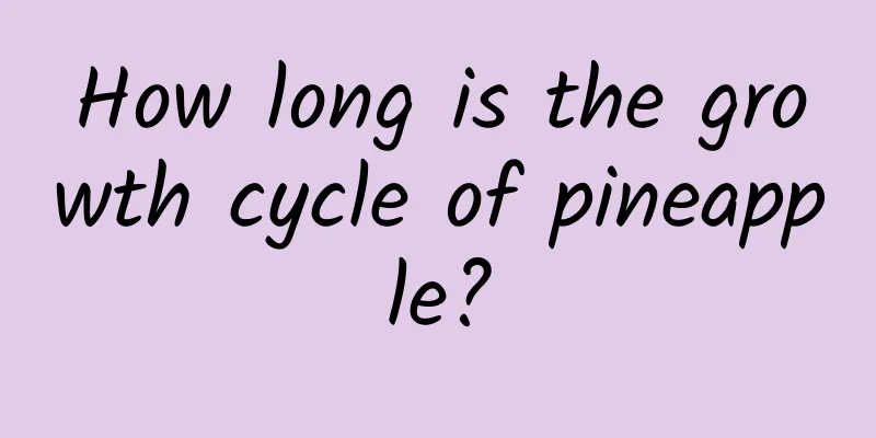How long is the growth cycle of pineapple?