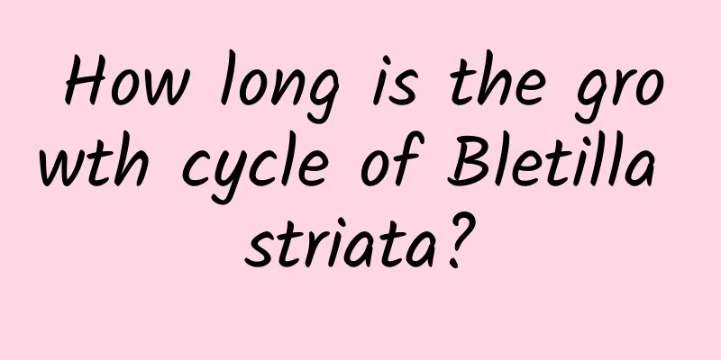 How long is the growth cycle of Bletilla striata?
