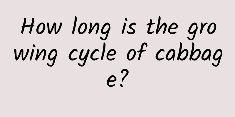 How long is the growing cycle of cabbage?