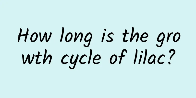 How long is the growth cycle of lilac?