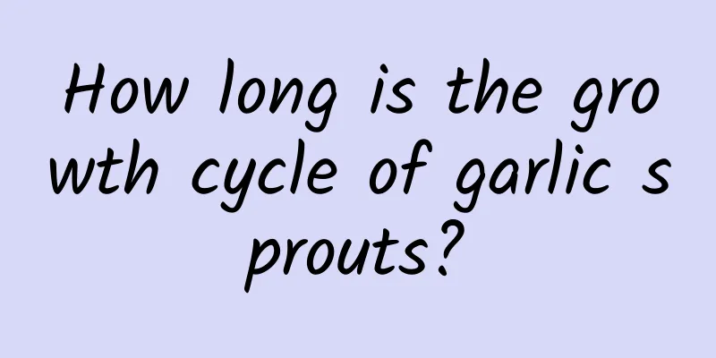 How long is the growth cycle of garlic sprouts?