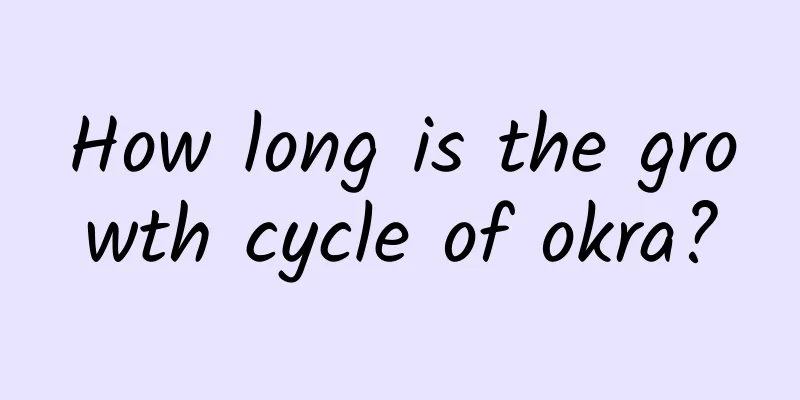 How long is the growth cycle of okra?