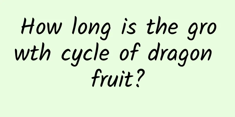 How long is the growth cycle of dragon fruit?