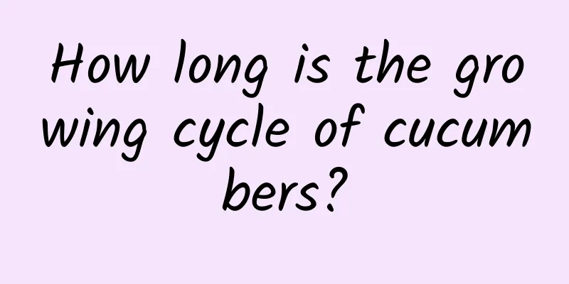 How long is the growing cycle of cucumbers?