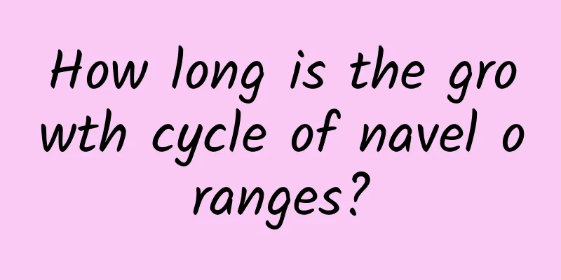 How long is the growth cycle of navel oranges?