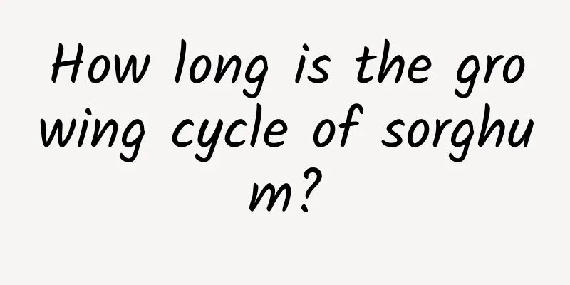 How long is the growing cycle of sorghum?