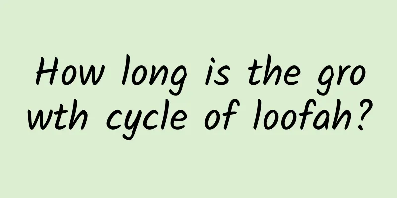 How long is the growth cycle of loofah?