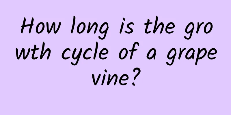 How long is the growth cycle of a grapevine?