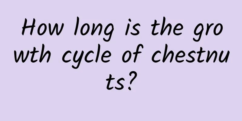 How long is the growth cycle of chestnuts?