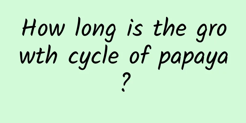 How long is the growth cycle of papaya?