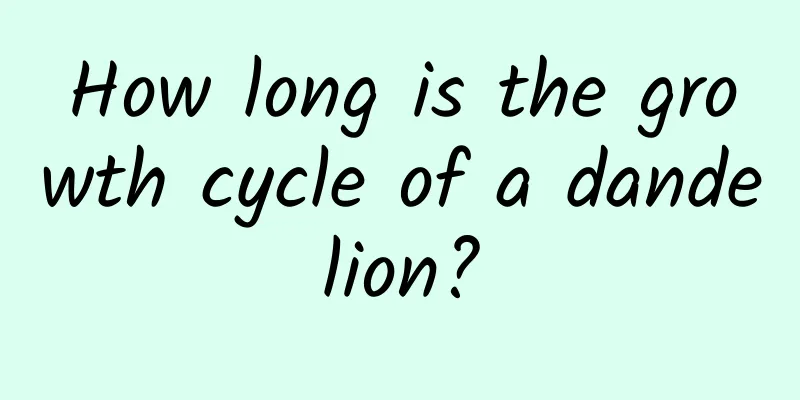 How long is the growth cycle of a dandelion?