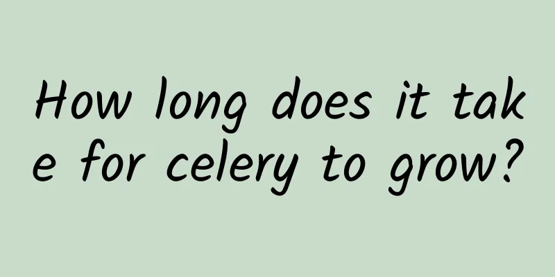 How long does it take for celery to grow?
