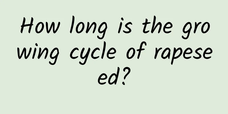 How long is the growing cycle of rapeseed?