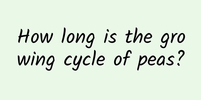 How long is the growing cycle of peas?