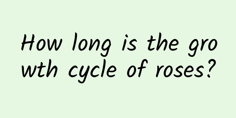 How long is the growth cycle of roses?