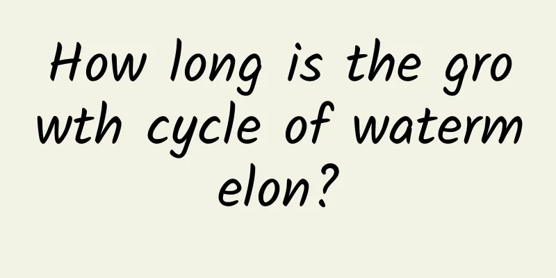 How long is the growth cycle of watermelon?