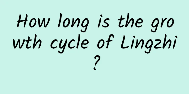 How long is the growth cycle of Lingzhi?