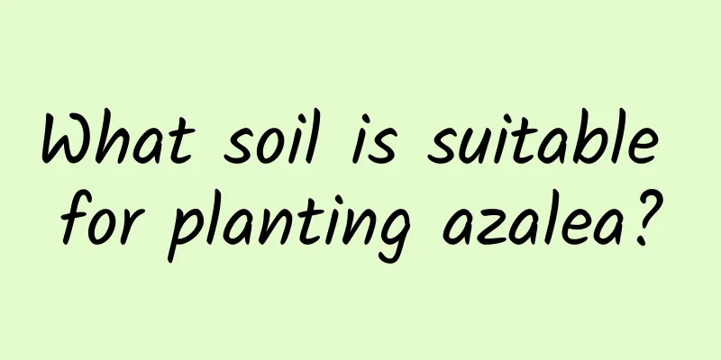 What soil is suitable for planting azalea?