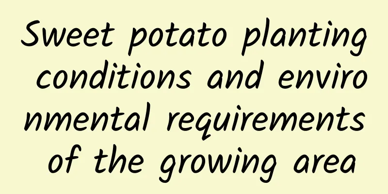 Sweet potato planting conditions and environmental requirements of the growing area