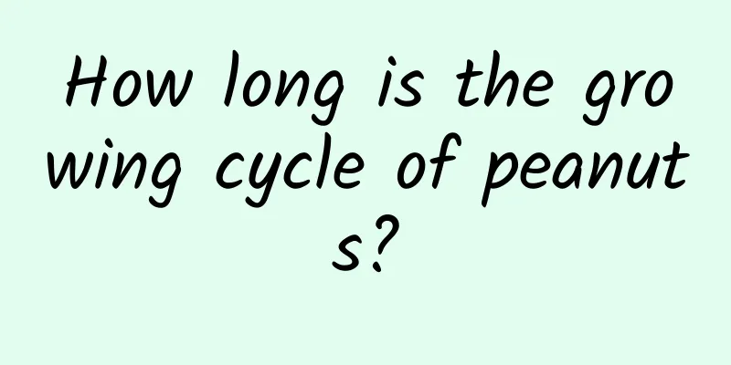 How long is the growing cycle of peanuts?