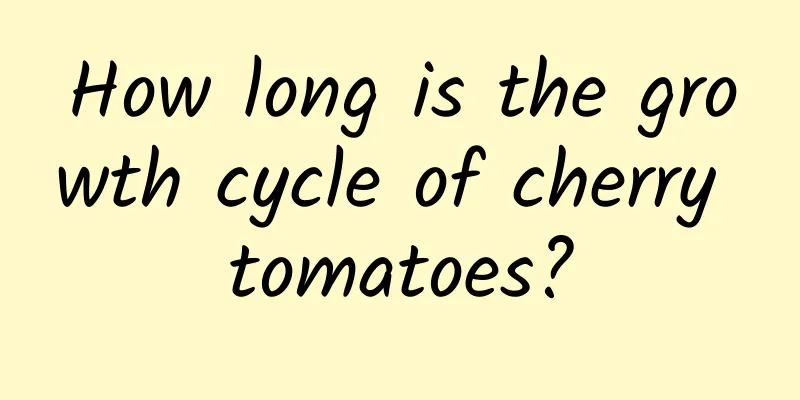 How long is the growth cycle of cherry tomatoes?