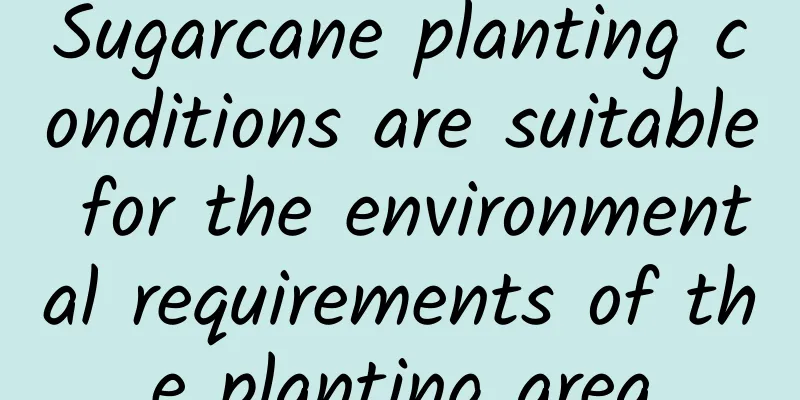 Sugarcane planting conditions are suitable for the environmental requirements of the planting area