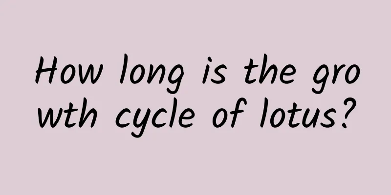 How long is the growth cycle of lotus?