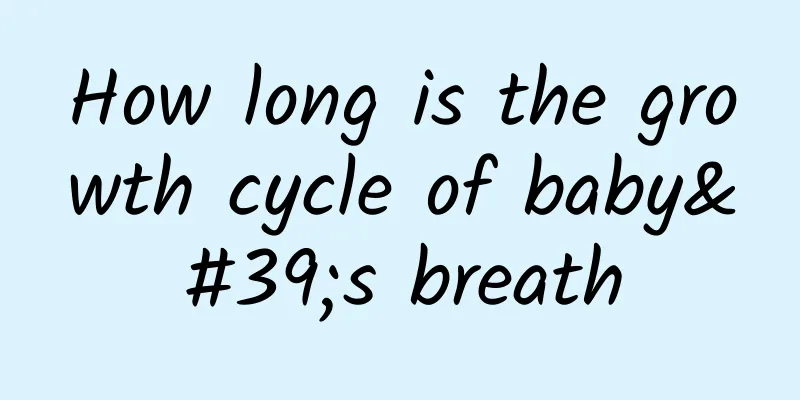 How long is the growth cycle of baby's breath