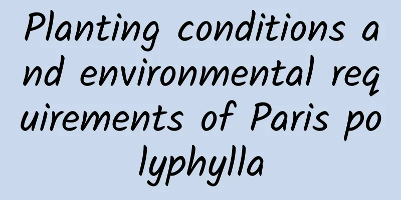 Planting conditions and environmental requirements of Paris polyphylla