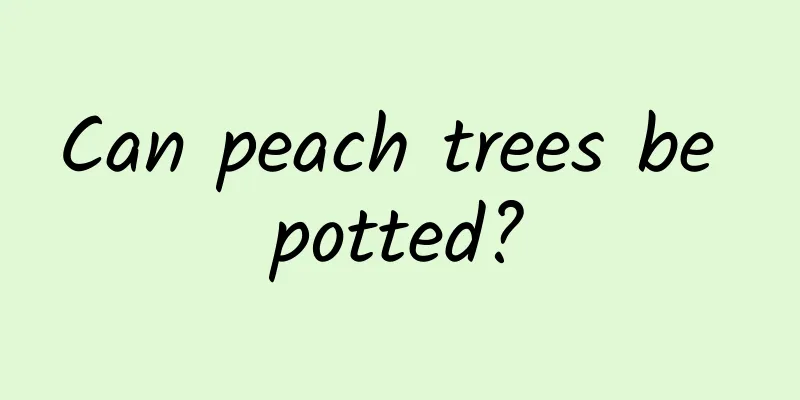 Can peach trees be potted?