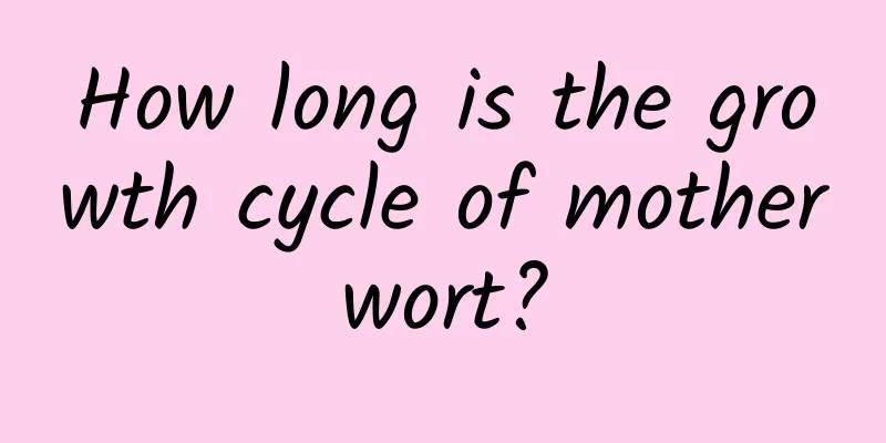 How long is the growth cycle of motherwort?